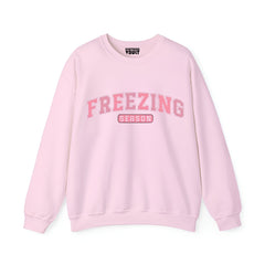 Pack of 2 Feelin Cute/Freezing Printed Women Sweatshirts